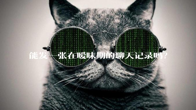 能发一张在暧昧期的聊天记录吗？