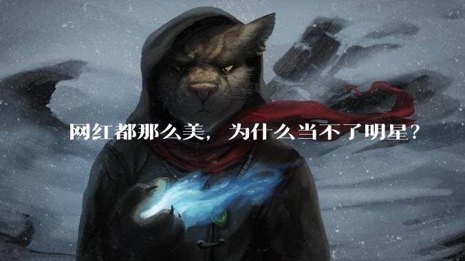 网红都那么美，为什么当不了明星？