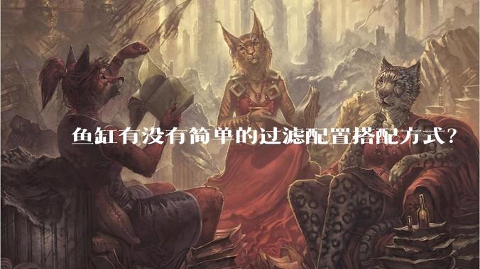 鱼缸有没有简单的过滤配置搭配方式？